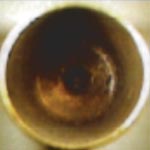 Standard Primer
